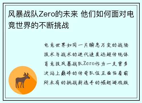 风暴战队Zero的未来 他们如何面对电竞世界的不断挑战